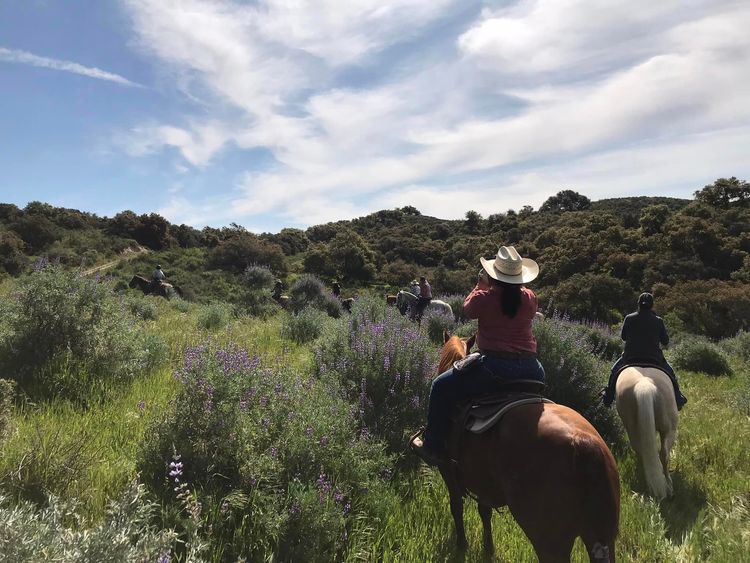 Wildflower Ride at Rancho Dos Alamos/Kick On Ranch