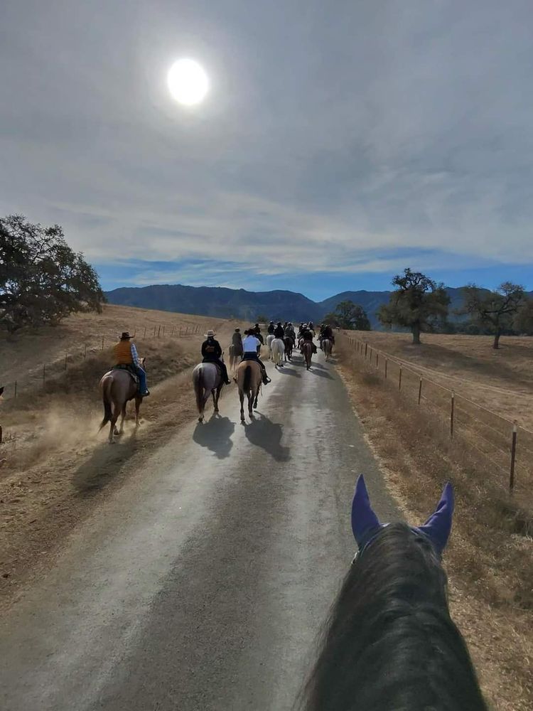 Fillies Alisal Guest Ranch Ride