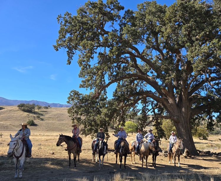 " A Fillies Ride" Ranch Rojo Cuyama CA