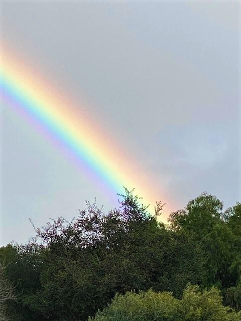 Annual Fillies Membership Meeting