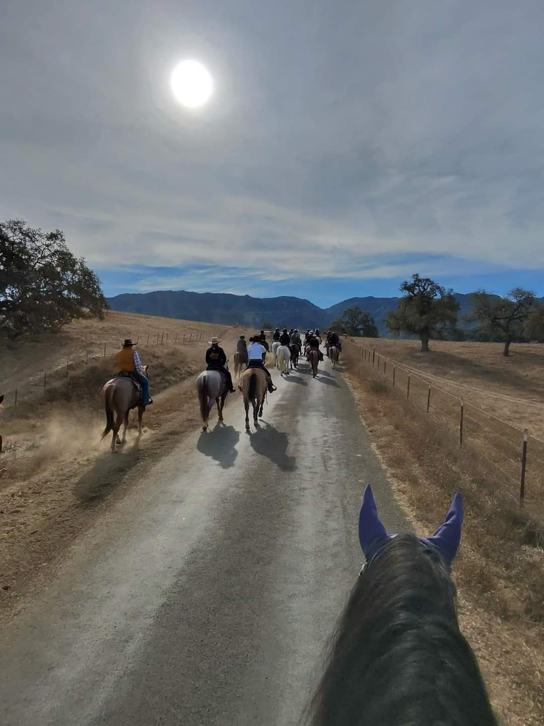 Fillies Alisal Guest Ranch Ride