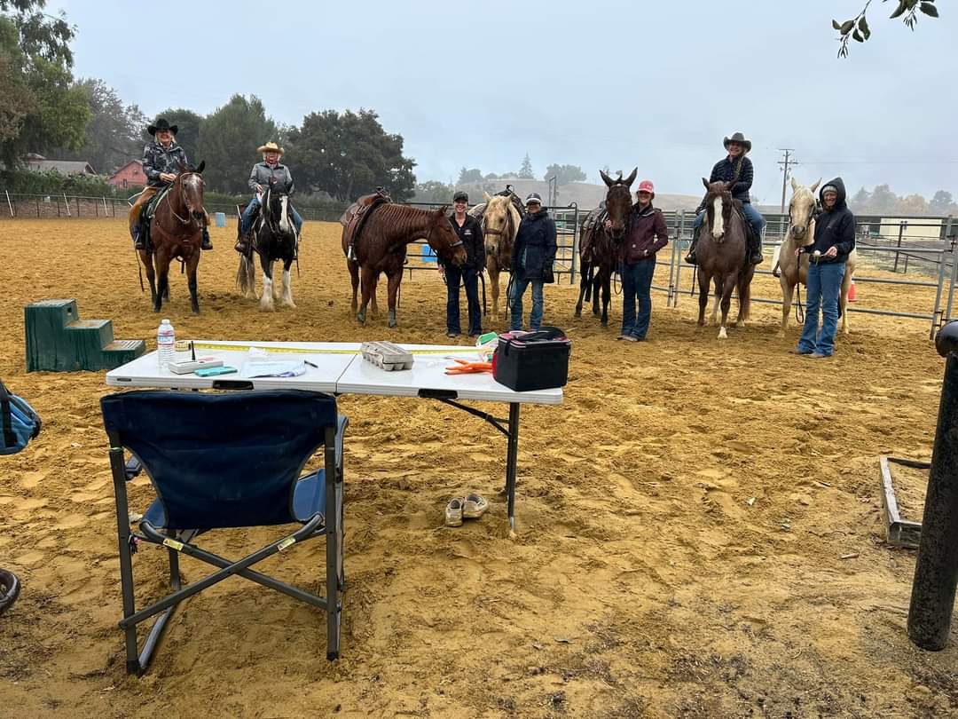 The Fillies Gymkhana Play Day