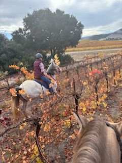 Fall Color Ride@Kick on Ranch