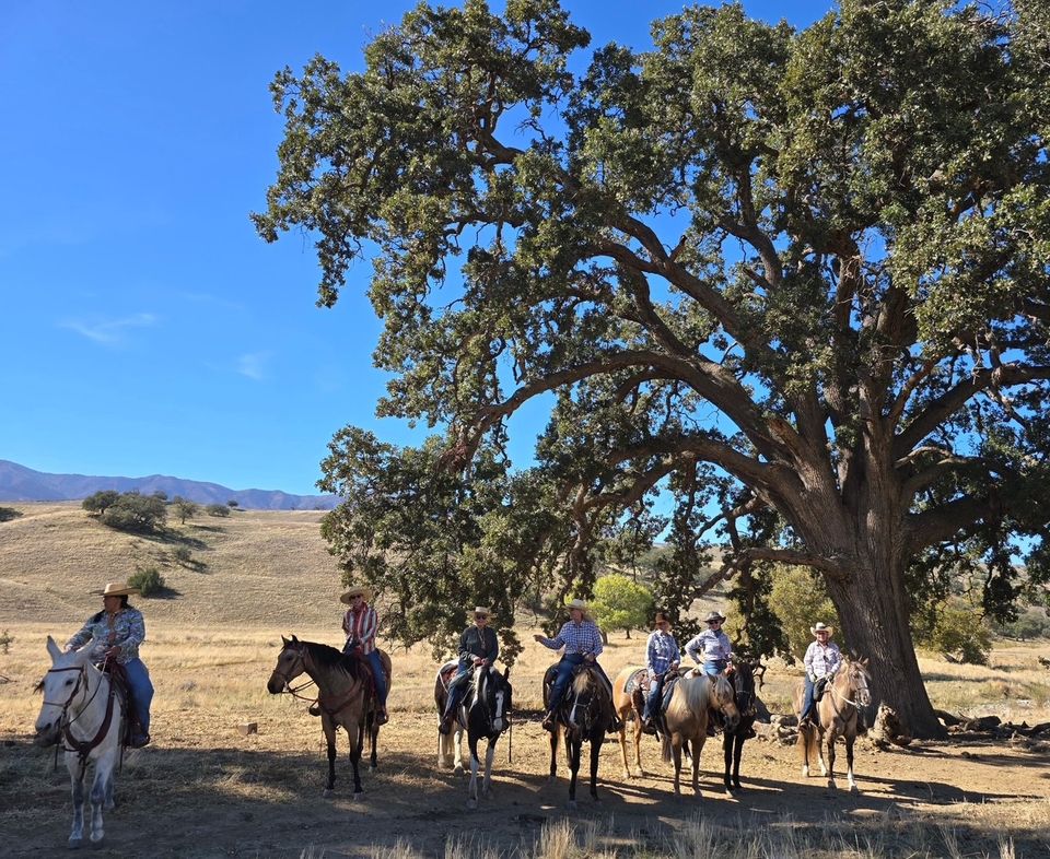 " A Fillies Ride" Ranch Rojo Cuyama CA
