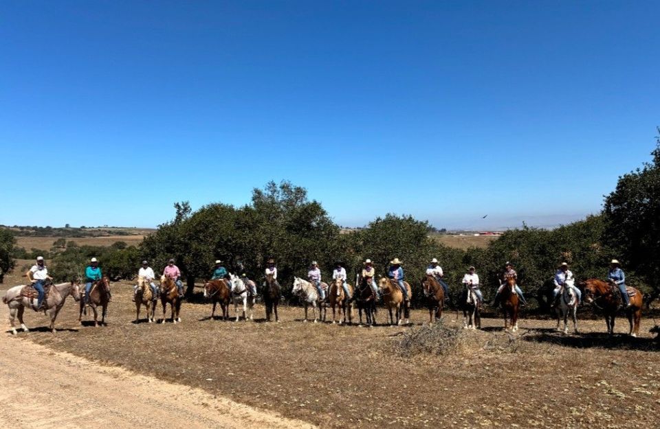 CMT Ranch LLC Trail Ride